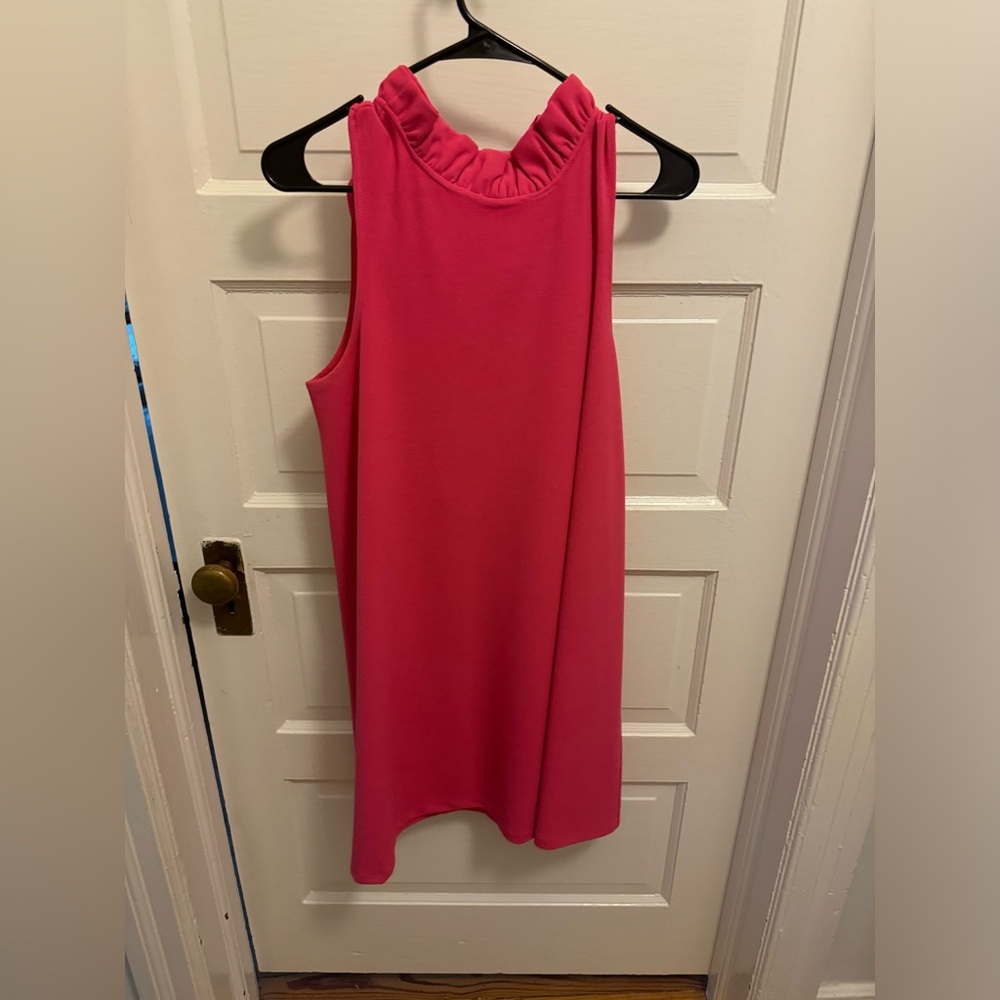 Tuckernuck Blythe Dress in PINK